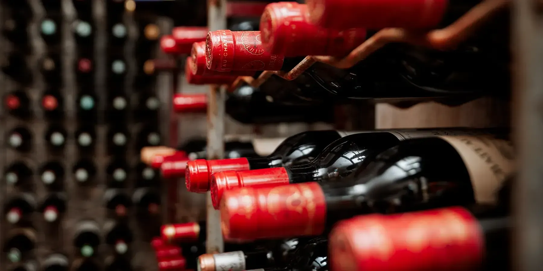 Bouteilles rangées dans une cave à vin