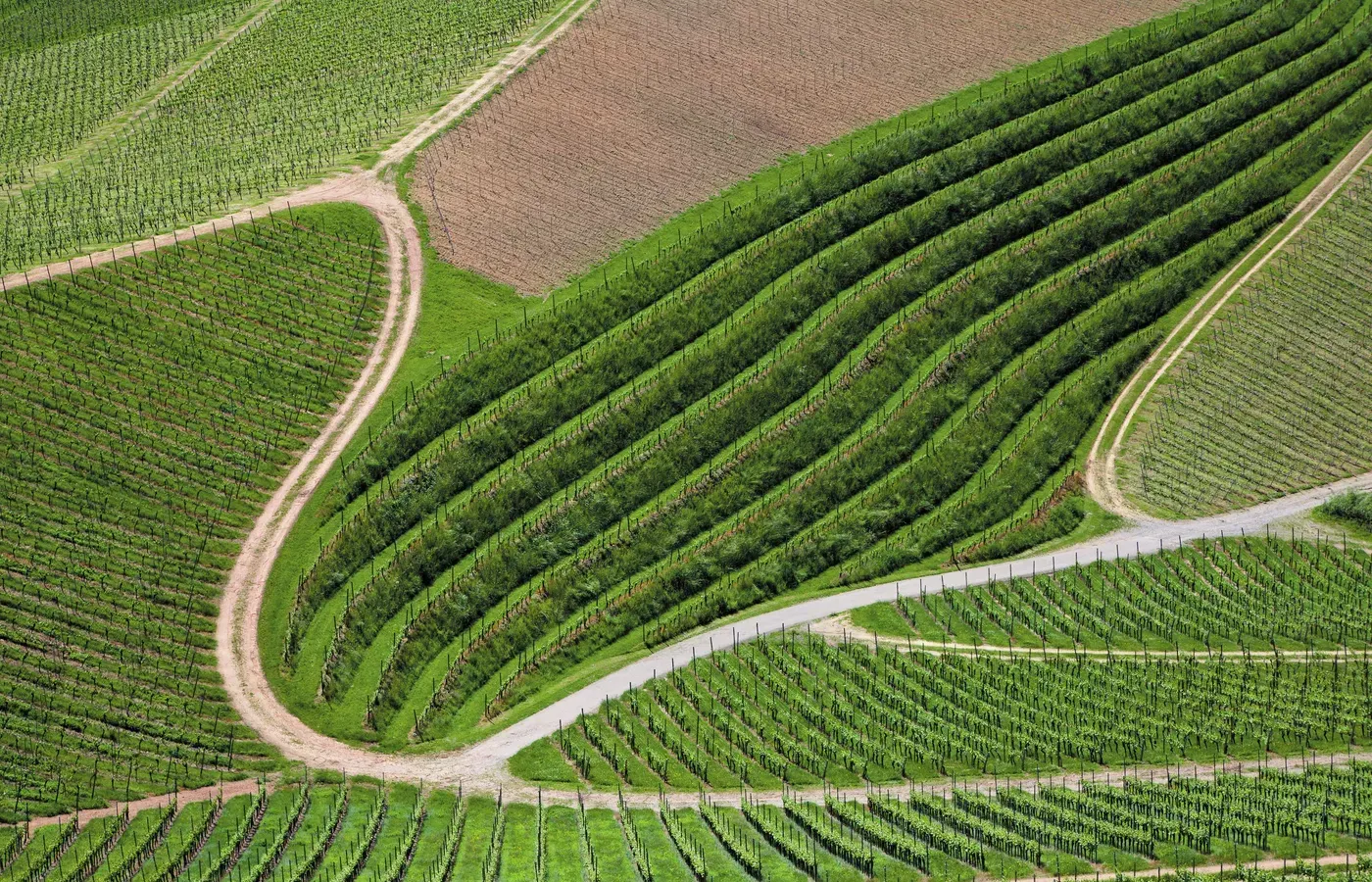 Descubra la excelencia de los grandes crus de Saint-Émilion con U’Wine: Château Pavie, Château Clos Fourtet, Château Fleur Cardinale, Château Bellevue.
