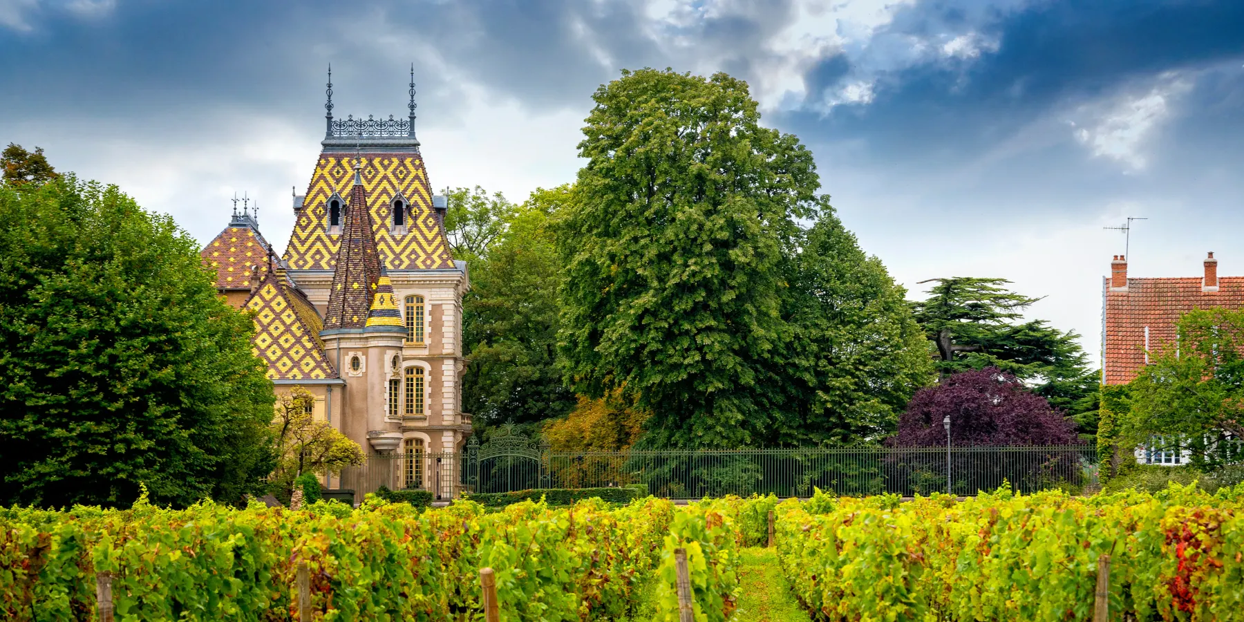 Discover the excellence of Burgundy wines: Chassagne-Montrachet, Fixin, Pommard, Gevrey-Chambertin... Immerse yourself in the art of Burgundy wine with U'wine!