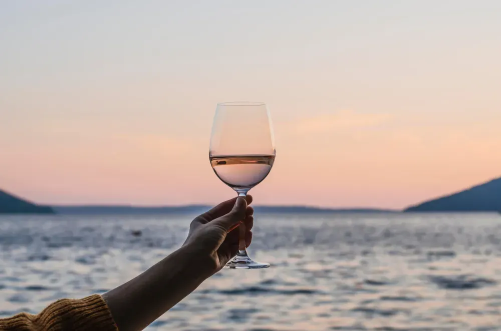 Découvrez le vin rosé : son histoire, ses méthodes de fabrication, ses occasions de dégustation et ses meilleurs accords mets et vins.