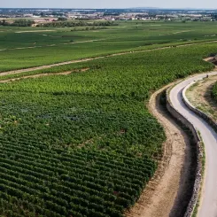 Bourgogne