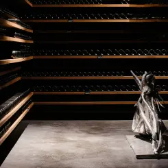 Le vin, l’investissement plaisir pour diversifier ses actifs