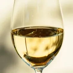 Le Sauvignon Blanc : un cépage phare de la viticulture mondiale