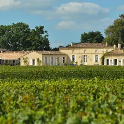 Domaine de Chevalier