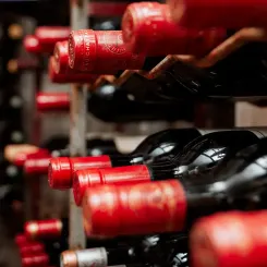 Bouteilles rangées dans une cave à vin