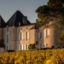 Vignes et Château d'Yquem