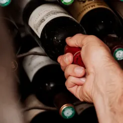 Une cave de grands crus de Bordeaux.