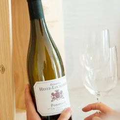 La excelencia de los grandes crus de Bourgogne