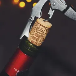 5 conseils pour conserver un bouteille de vin ouverte !