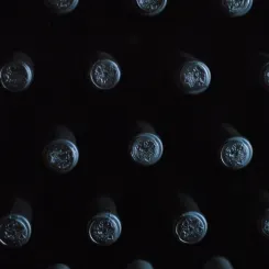 Que vous soyez un amateur de vin chevronné ou un néophyte curieux, investir dans le vin est un parti-pris tout à fait envisageable.