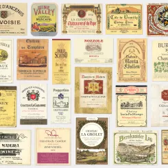 Décryptez les secrets de vos vins par l'étiquette : chaque mot est un indice pour révéler ses délices cachés !