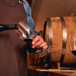L'univers du vin peut sembler élitiste, liant qualité au prix. Chez U’wine, les Rising Stars sont sélectionnées avec passion, offrant des trésors abordables.