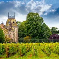 Nos nouveautés vins de Bourgogne l U’wine