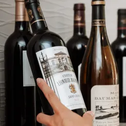 Bouteille de vin et verre de vin en vue d'une dégustation vin