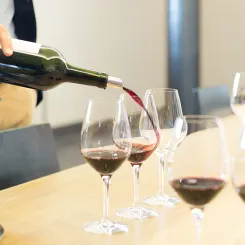 Dégustation vin rouge de Bordeaux