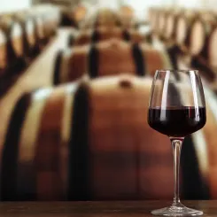 Verre vin rouge En-Primeurs en cave