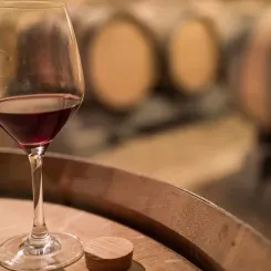 Vin rouge Primeur, dégustation au chai