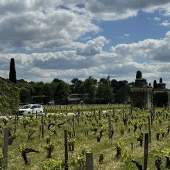 Smith Haut Lafitte, Primeurs 2023
