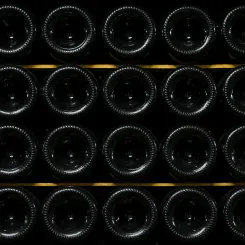 Cave à vin Primeurs 2023