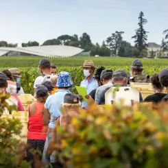 Château Cheval Blanc, Bordeaux