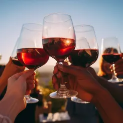 Vins de Bordeaux en solde |  U'wine