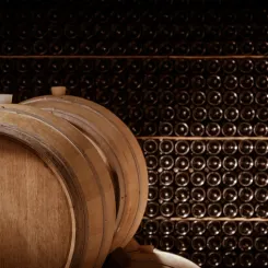 Cave à vin, conservation en barriques et bouteilles