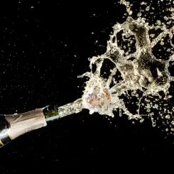 À Noël, le champagne est sur le devant de la scène. Brut, demi-sec ou doux, U’wine vous guide pour choisir le champagne parfait pour vos fêtes de fin d'année !