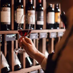 Dégustation vin rouge, cave à vin