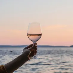 Découvrez le vin rosé : son histoire, ses méthodes de fabrication, ses occasions de dégustation et ses meilleurs accords mets et vins.