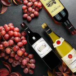 Découvrez les meilleures offres de la foire aux vins : réductions exclusives et promotions immanquables sur une sélection de vins.