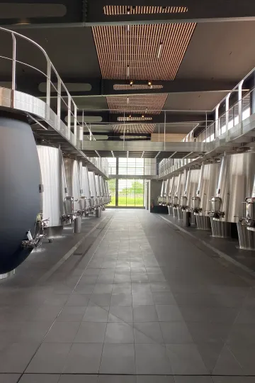 Chai du Château Dassault