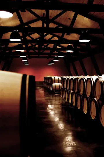 Chai et barriques du Château Barde-Haut