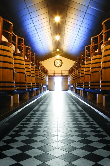 Chai du Château Pape Clément
