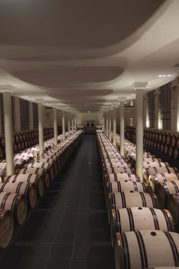Découvrez l'excellence des grands crus de Saint-Émilion avec U'wine au Château Pavie.