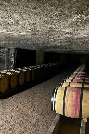 Découvrez l'excellence des grands crus de Saint-Émilion avec U'wine au Château Clos Fourtet.