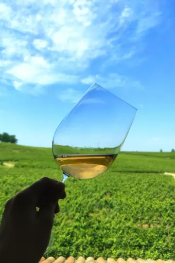 Découvrez l'excellence des grands crus de Saint-Émilion avec U'wine au Château Fleur Cardinale.