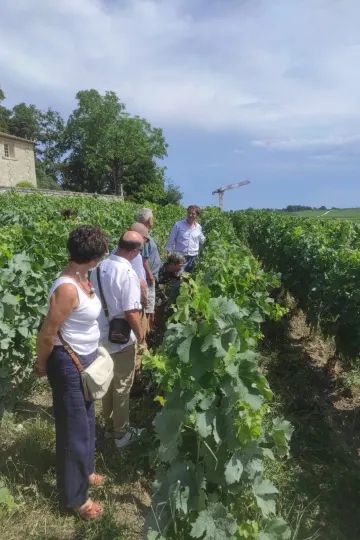 Découvrez l'excellence des grands crus de Saint-Émilion avec U'wine au Château Bellevue.
