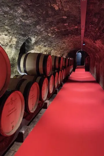La 163ème vente des vins des Hospices de Beaune, organisée par Sotheby's, a marqué l'histoire, devenant la deuxième meilleure vente de l'institution.