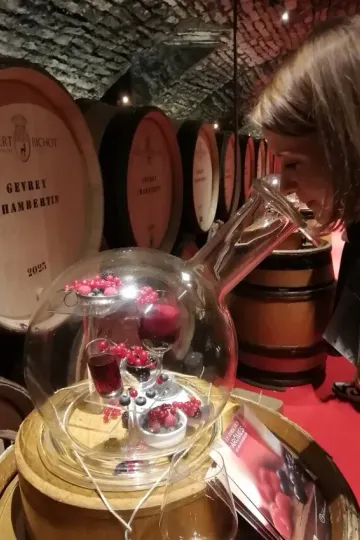 La 163ème vente des vins des Hospices de Beaune, organisée par Sotheby's, a marqué l'histoire, devenant la deuxième meilleure vente de l'institution.