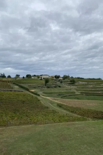 Chateau Barde-Haut : Domaine viticole à Saint-Emilion