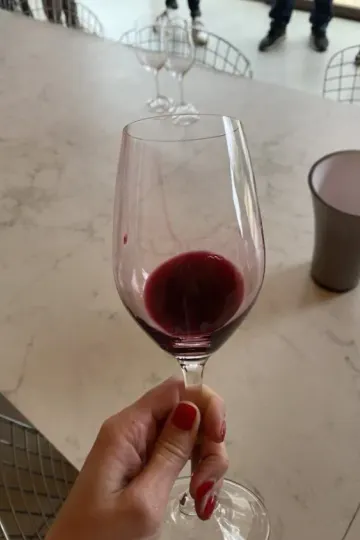 Chateau Barde-Haut : Domaine viticole à Saint-Emilion
