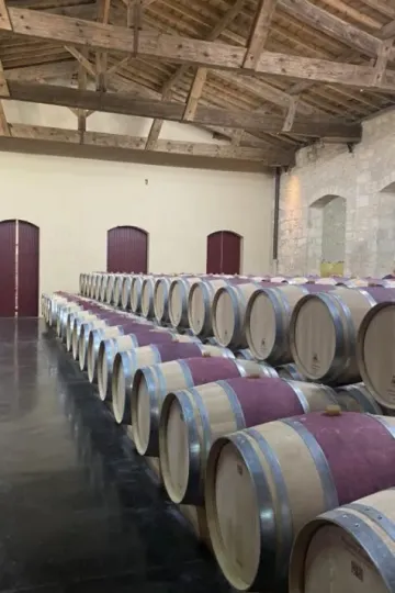 Château Pontet-Canet, Pauillac