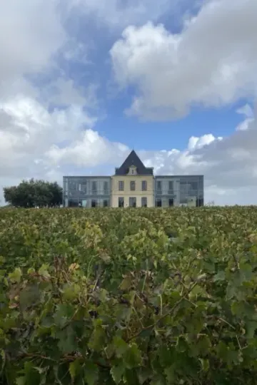 Château Pédesclaux : Domaine viticole à Pauillac