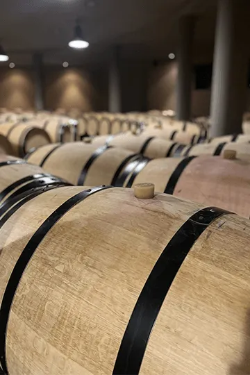 Tour en propriété : Château Fieuzal, Pessac-Léognan - U'wine