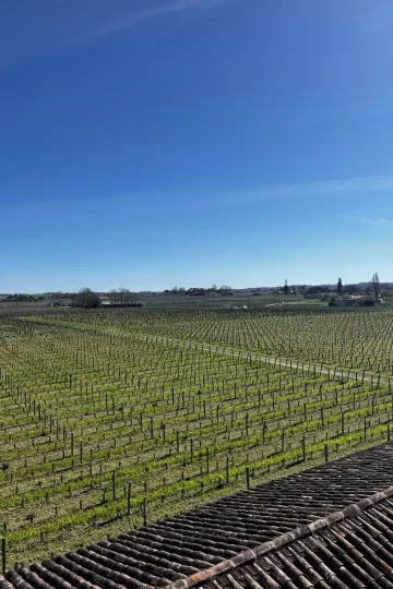 Vignoble Petit-Village à Pomerol