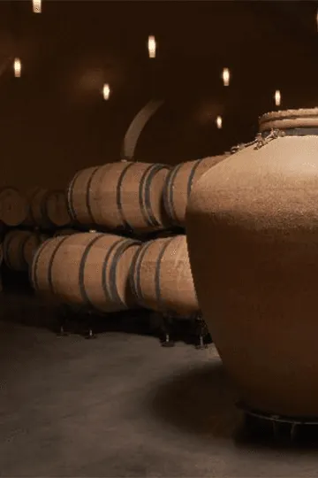 Amphore, vinification