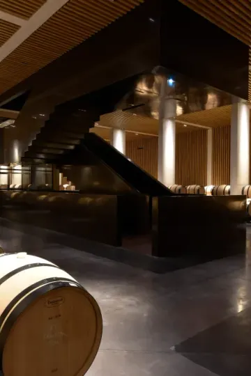 Chai et barriques du Château Pédesclaux