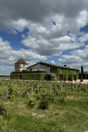 Château Smith Haut Lafitte