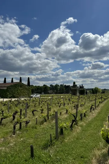 Château Smith Haut Lafitte