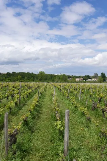 Château Haut-Bages Libéral